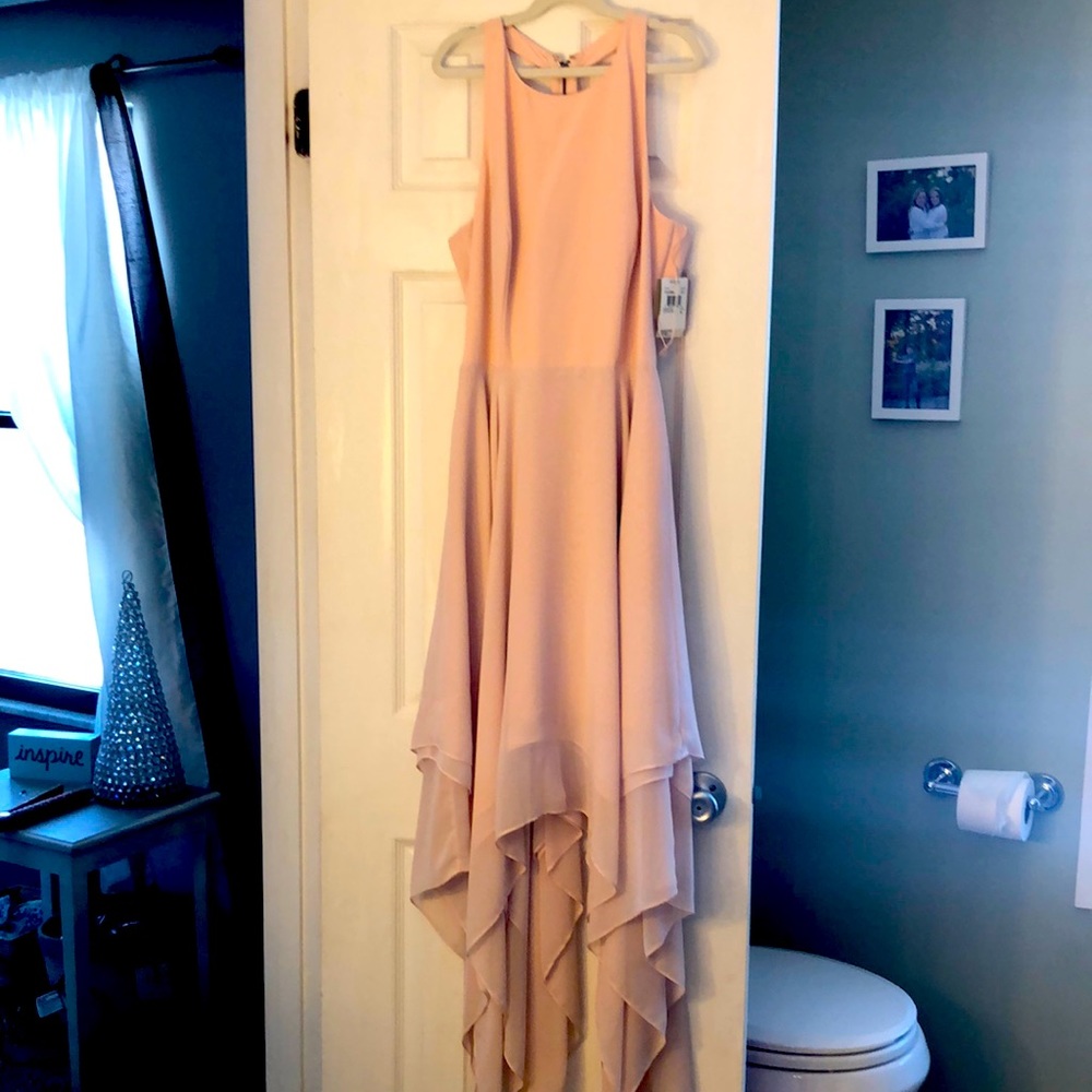 Beautiful Aidan Mattox blush dress NWT